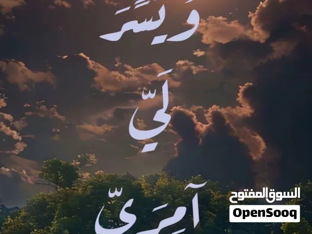 خشب طوبار للبيع