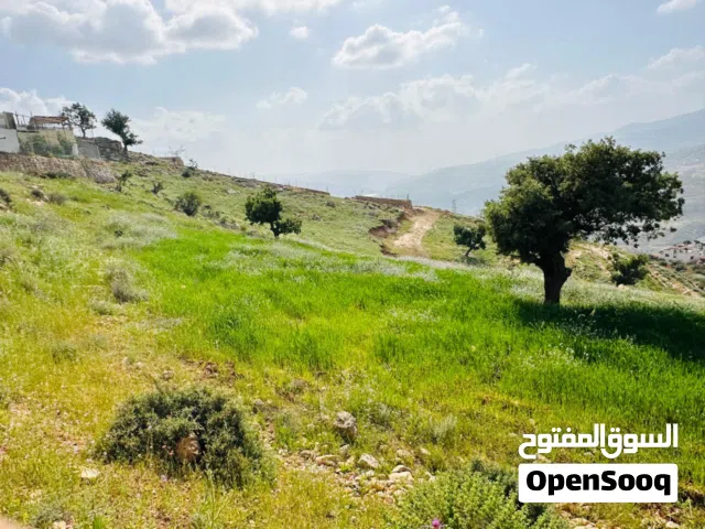 Mixed Use Land for Sale in Jerash Other