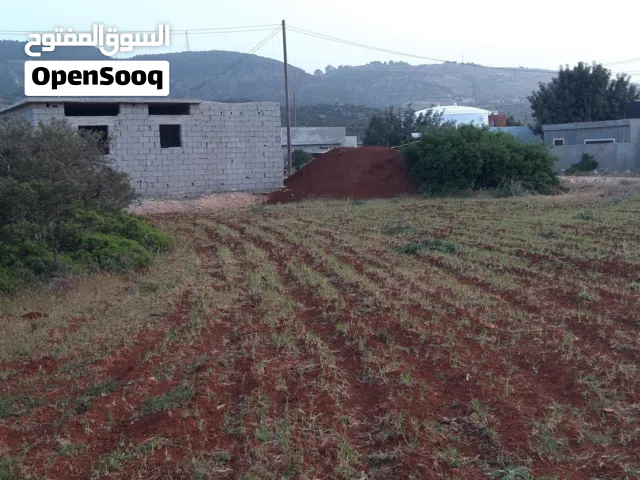 Commercial Land for Sale in Jebel Akhdar Cyrene