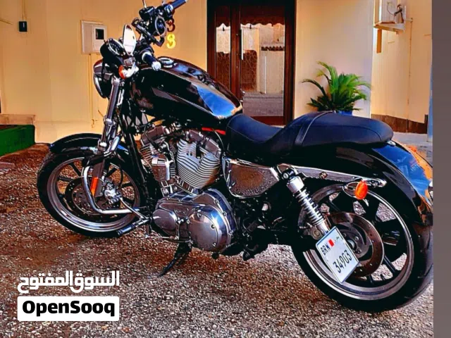 2011 Harley Davidson Iron 883