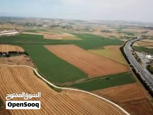 دونم للبيع في البصره المشراق آلجديد قرب بصره سنتر تحويل بأسم المشتري