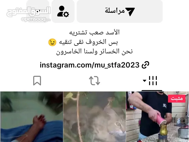 حساب تيك توك لفل 26