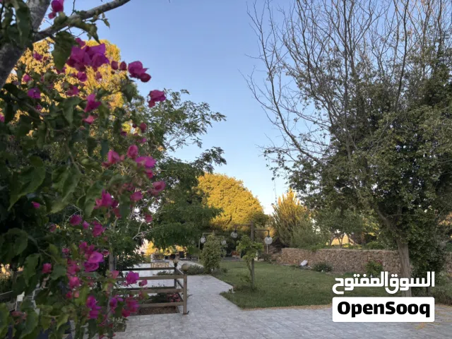 4 Bedrooms Chalet for Rent in Salt Zay