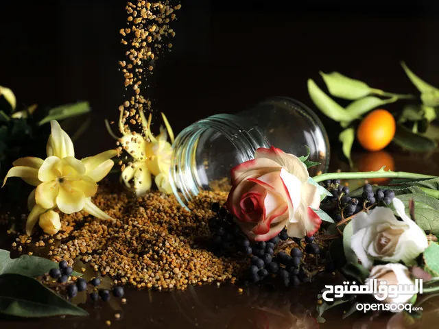 حبوبات لقاح النحل – غذاء طبيعي خارق للصحة