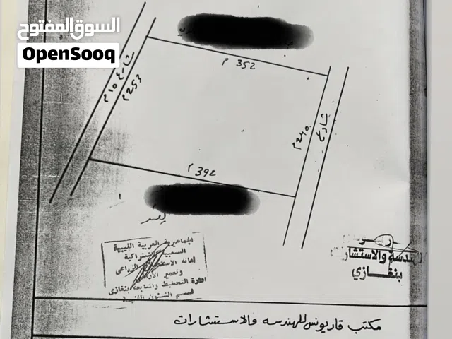 9 هكتار في نهاية شارع الكرتون
