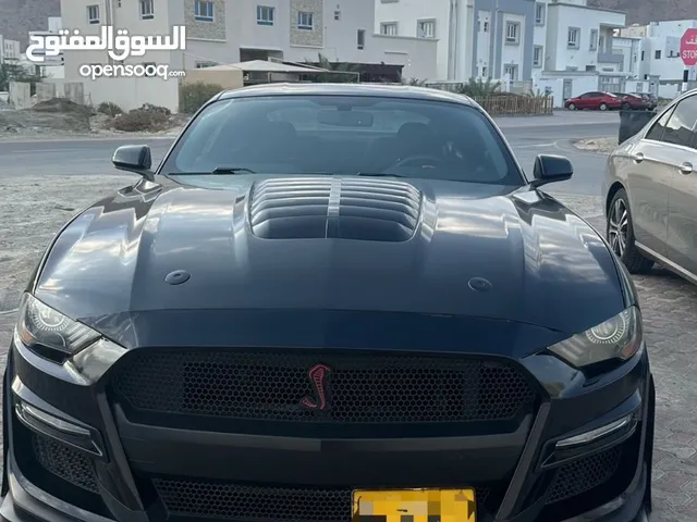 بنفر شلبي 2018-2023 shelby bumper