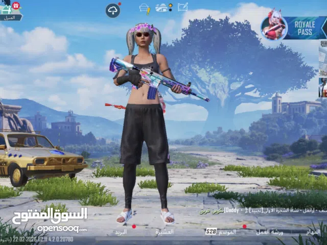 Pubg Accounts and Characters for Sale in Amman