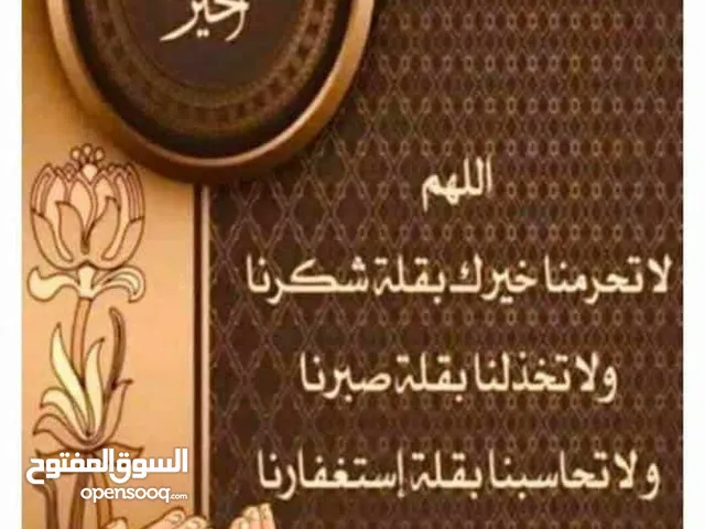 ارانب بلديات للبيع