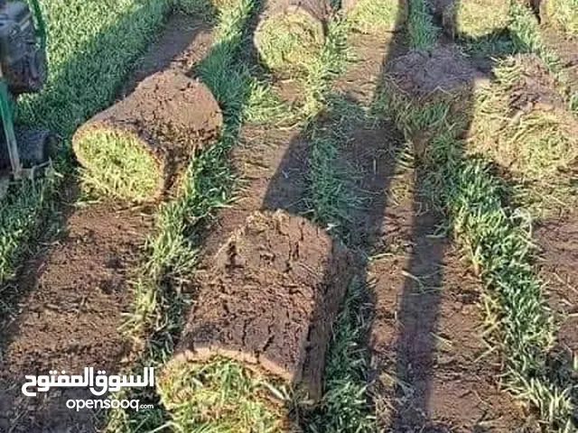 بيع وتوصيل