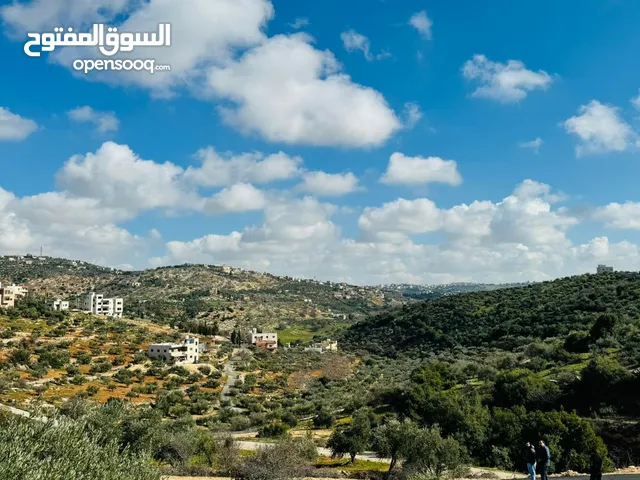 Residential Land for Sale in Amman Badr