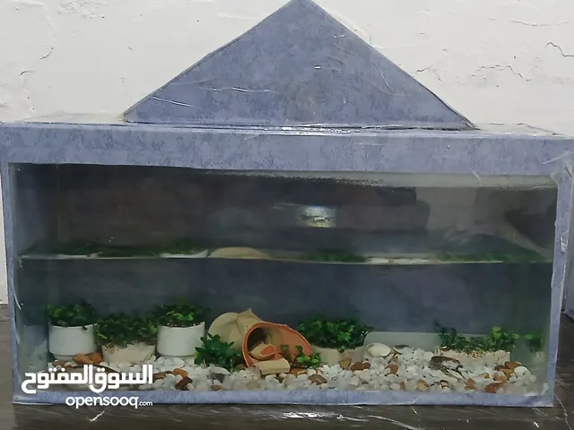 حوض سمك مع احجار وشجر زينه حوض كامل ب 10