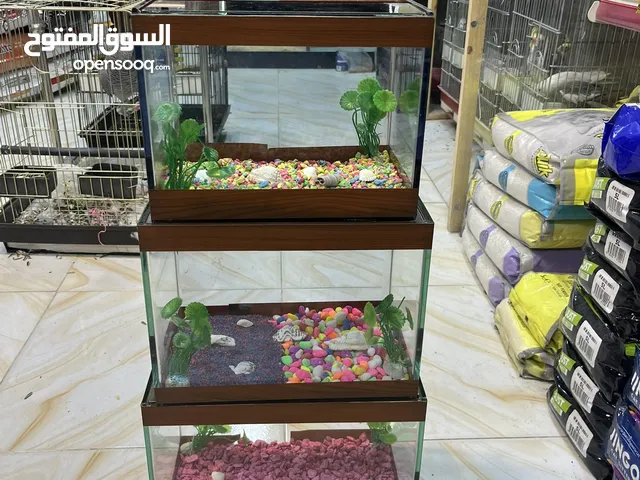 أحواض سمك مميز عروض خيالية جودة عالمية تابع الوصف