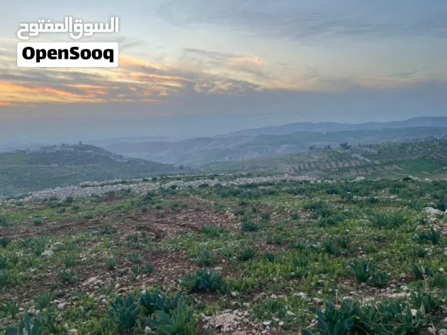 Farm Land for Rent in Amman Iraq Al Ameer