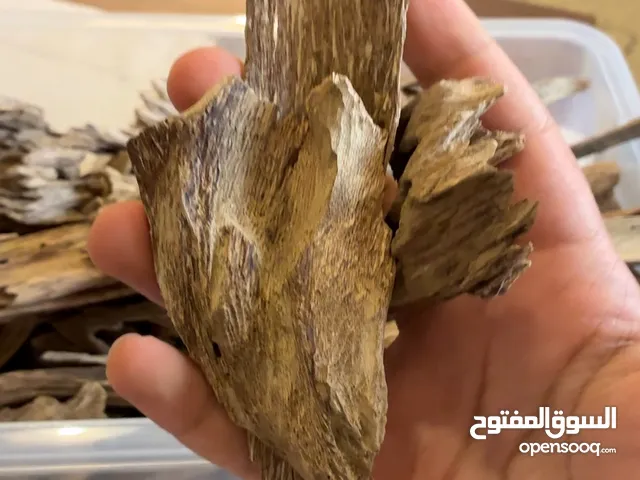 بخور أندونيسي بانكا أقتصادي ويجمل