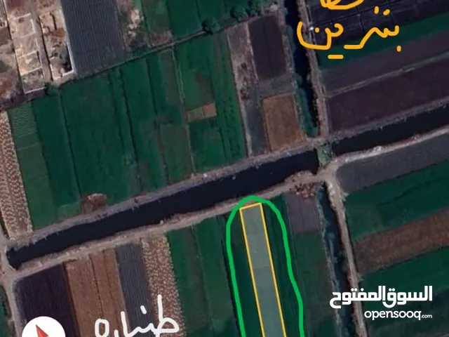 Farm Land for Sale in Mansoura Other