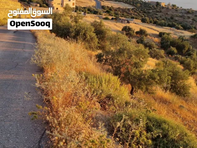 Mixed Use Land for Sale in Salt Other