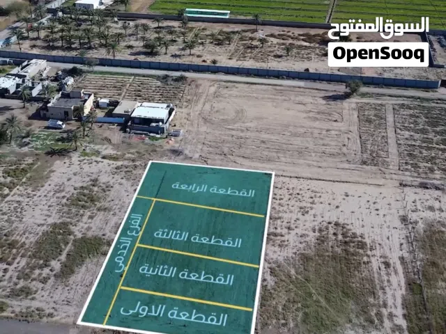 دونم زراعي مقسم لاربع قطع من منطقة عكركوف في ابو غريب