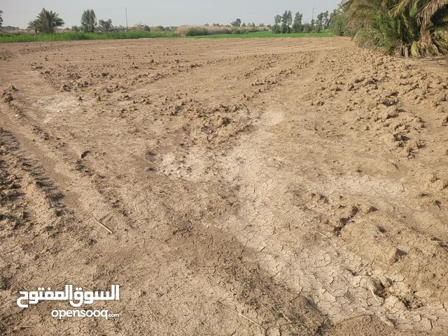 Farm Land for Sale in Baghdad Mahmudiyah