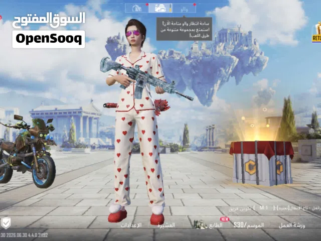 Pubg Accounts and Characters for Sale in Dhi Qar