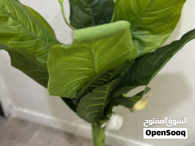شجره اصطناعيه مستعمله شبه جديد للبيع