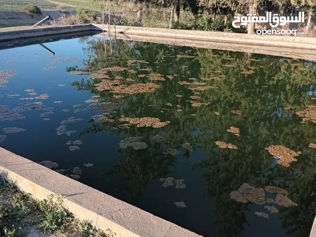 Mixed Use Land for Sale in Sfax Other