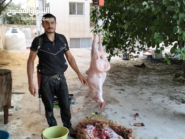 لحام جزار متنقل لذبح جميع انواع الاضاحي سارع بلحجز