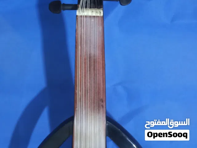 عود كهربائي احترافي