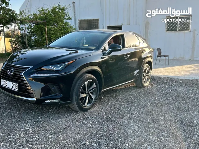 وارد المركزيه فحص كامل سعر نهائي