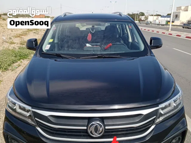 2022 Dongfeng Other