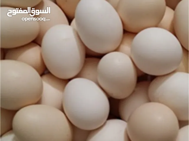 بيض بلدي بلدي