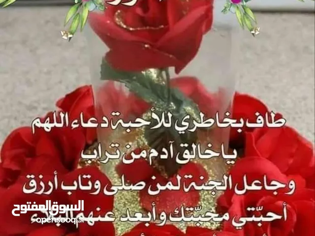 مطلوب خاروف للبيع في اربد شغل دبح واكل