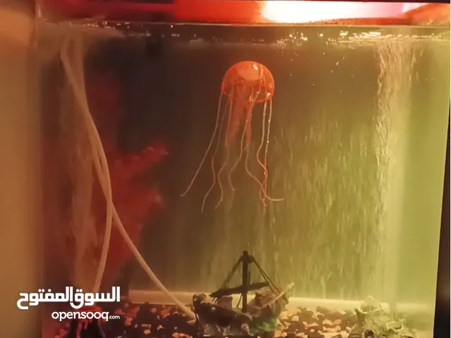 حوض سمك جديد بكامل اغراضه