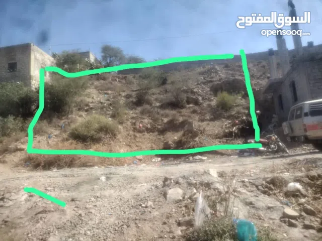 تعز المدينه