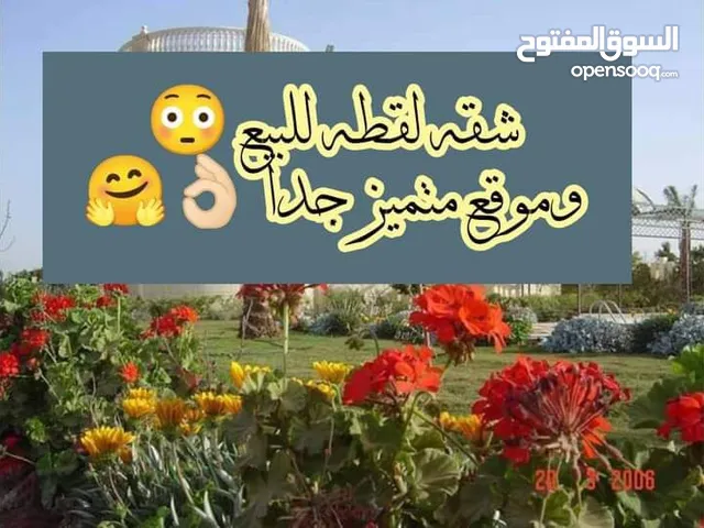 شقه للبيع بالحى الثانى بمدينة العبور طوب احمر