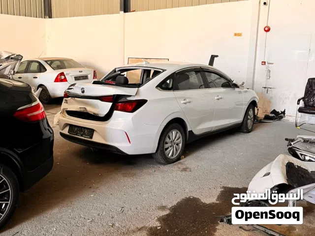 2023 Changan Eado Basic