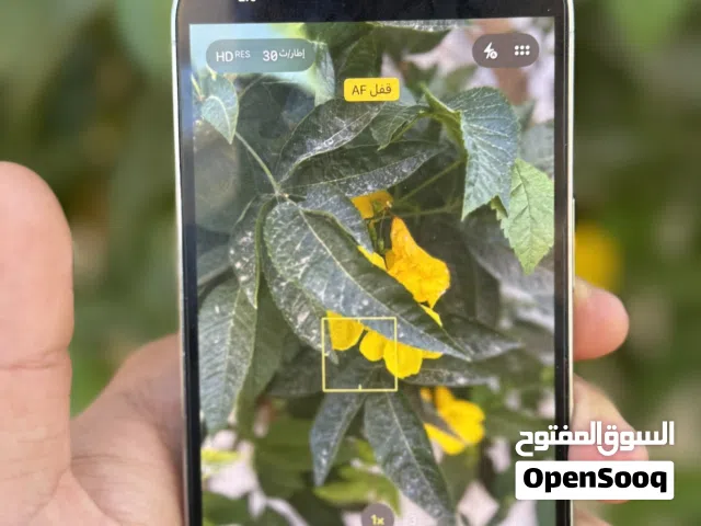 Apple iPhone 13 Pro 128 GB in Tripoli