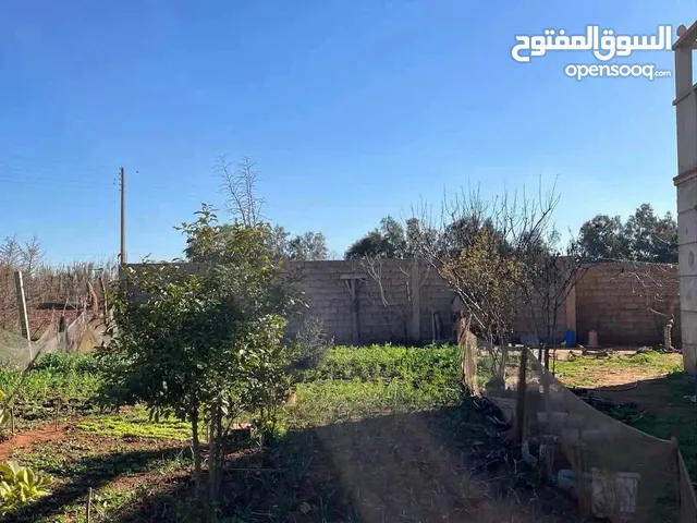 فيلا + لونغار + ارض فلاحية
