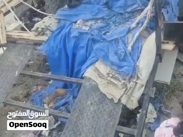 عربانه قلص
