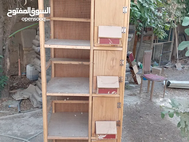 قفص طيور 4 خانات جديد ممستخدم