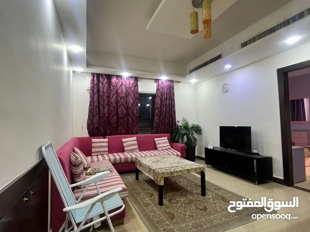 60m2 Studio Apartments for Rent in Amman Medina Street