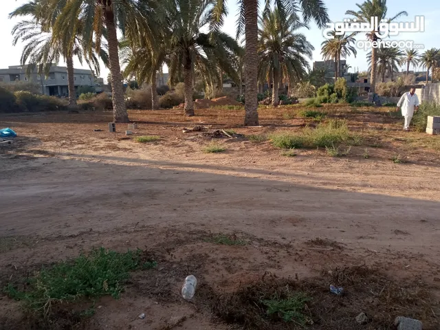 2400م للبيع بضواحي الخمس طريق العمامره بعد شيل الصغير قليلا