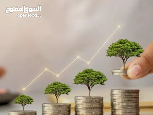 استثمار مالي الكتروني شغال