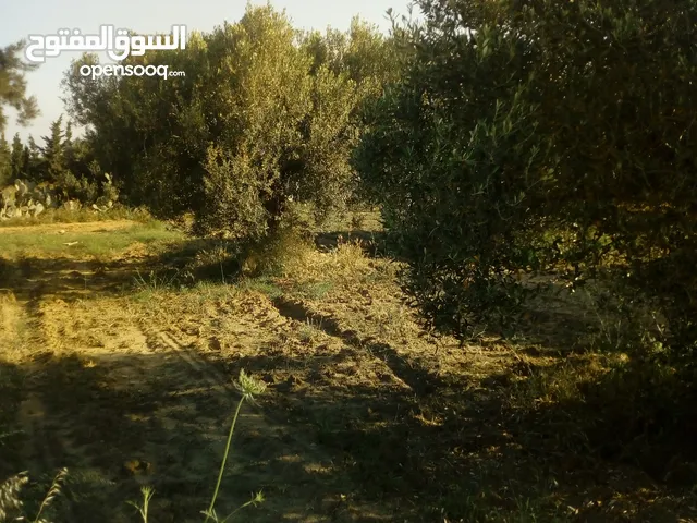 Farm Land for Sale in Nabeul Other