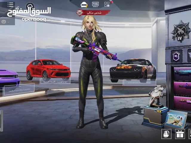 Pubg Accounts and Characters for Sale in Salt