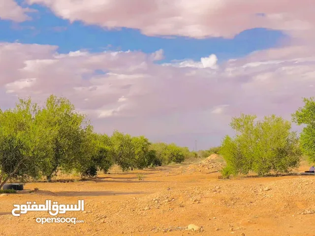 Farm Land for Sale in Western Mountain Other