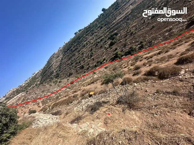 Mixed Use Land for Sale in Hebron Beit Ummar