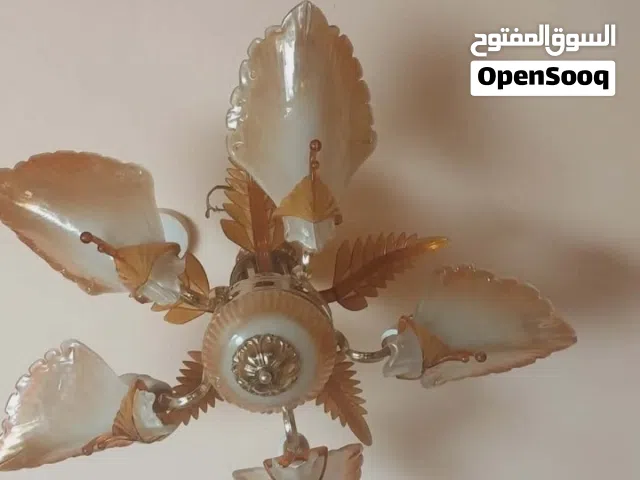 غراض بيت نظيفات مكانهن السراجي الاسعار عالصور