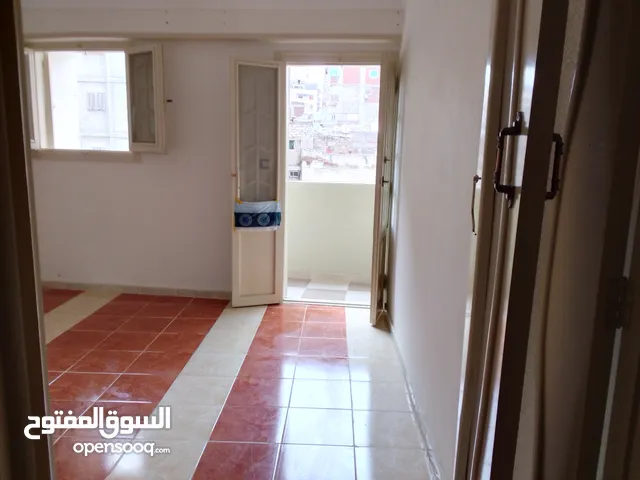 65 m2 2 Bedrooms Apartments for Rent in Alexandria Dekheila