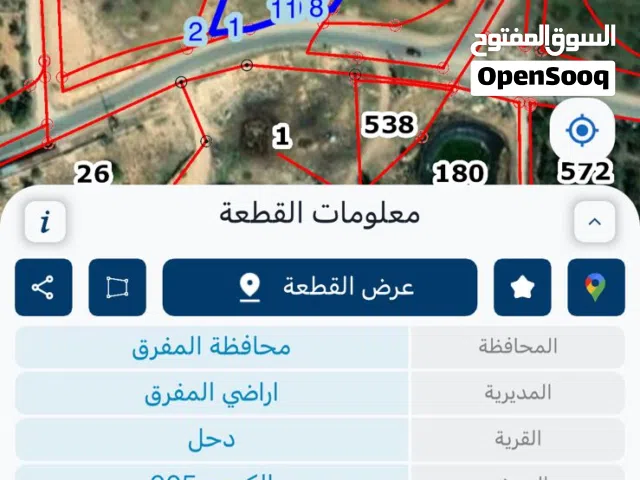 Farm Land for Sale in Mafraq Dahl