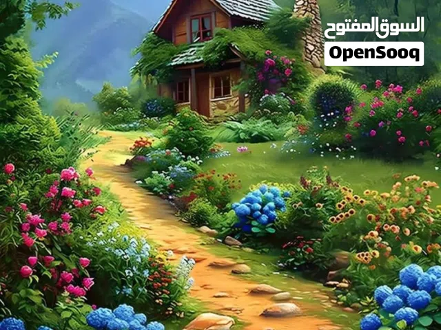 تعقيب ... خدمات عامة ... كتابة معاريض ... جميع الخدمات الإلكترونية الحكومية